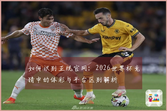 如何识别正规官网：2026世界杯竞猜中的体彩与平台区别解析