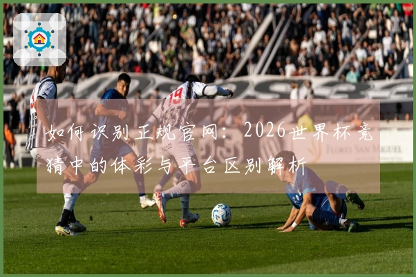 如何识别正规官网：2026世界杯竞猜中的体彩与平台区别解析