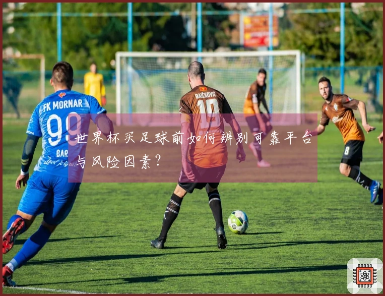 世界杯买足球前如何辨别可靠平台与风险因素？